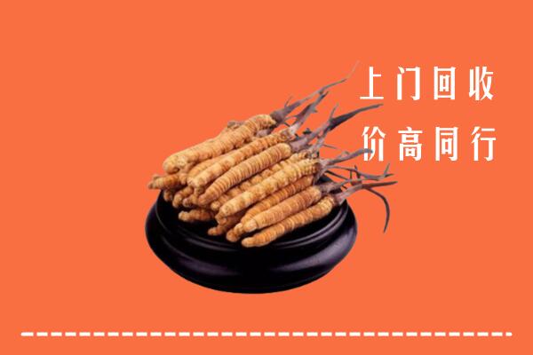 高价求购：红河州弥勒市回收散虫草