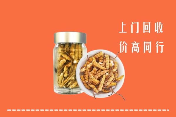红河州弥勒市回收冬虫夏草