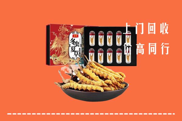 红河州弥勒市回收虫草
